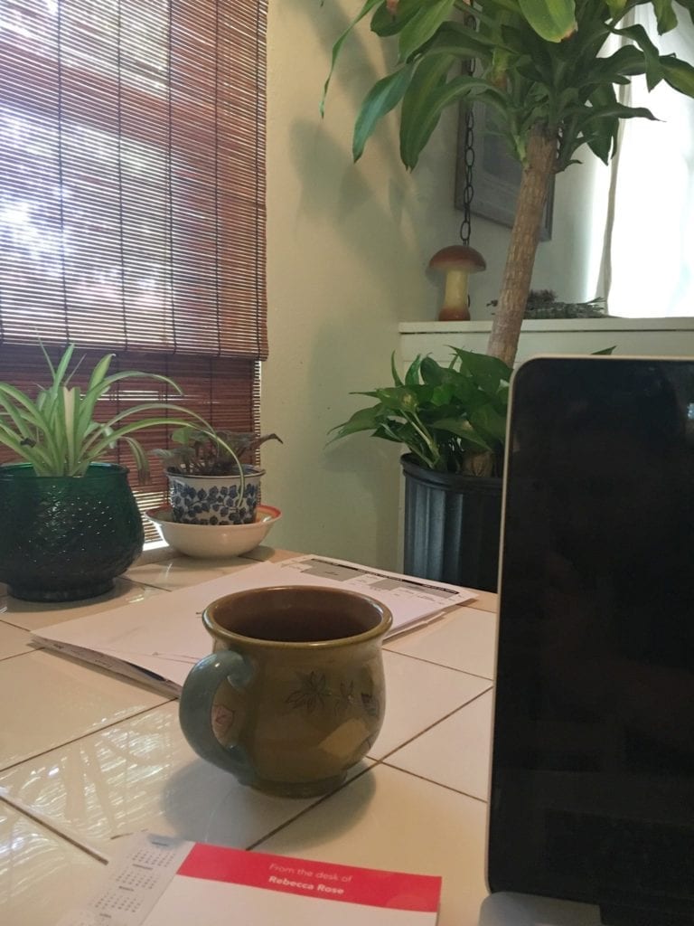 Coffee cup on desk with plants
