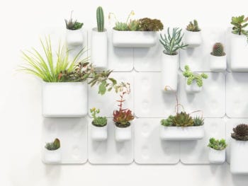 Vertical garden on white tile wall.